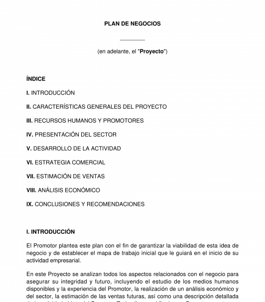 Plan de negocio